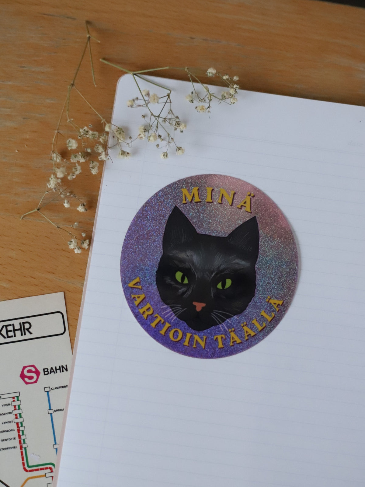 Täällä vartioin minä-ovitarra (KISSA)