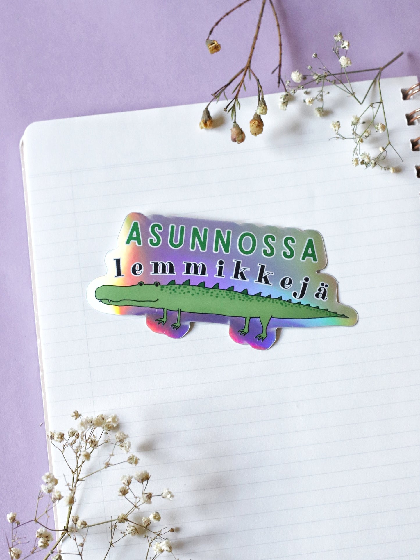 Asunnossa lemmikkejä (krokotiili)