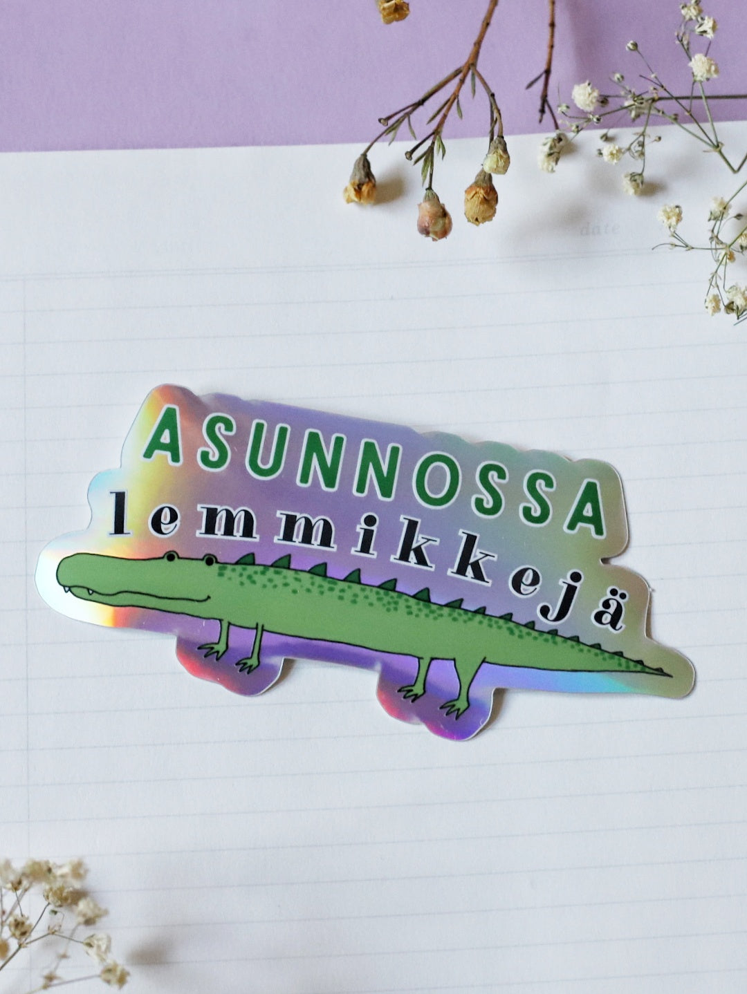 Asunnossa lemmikkejä (krokotiili)